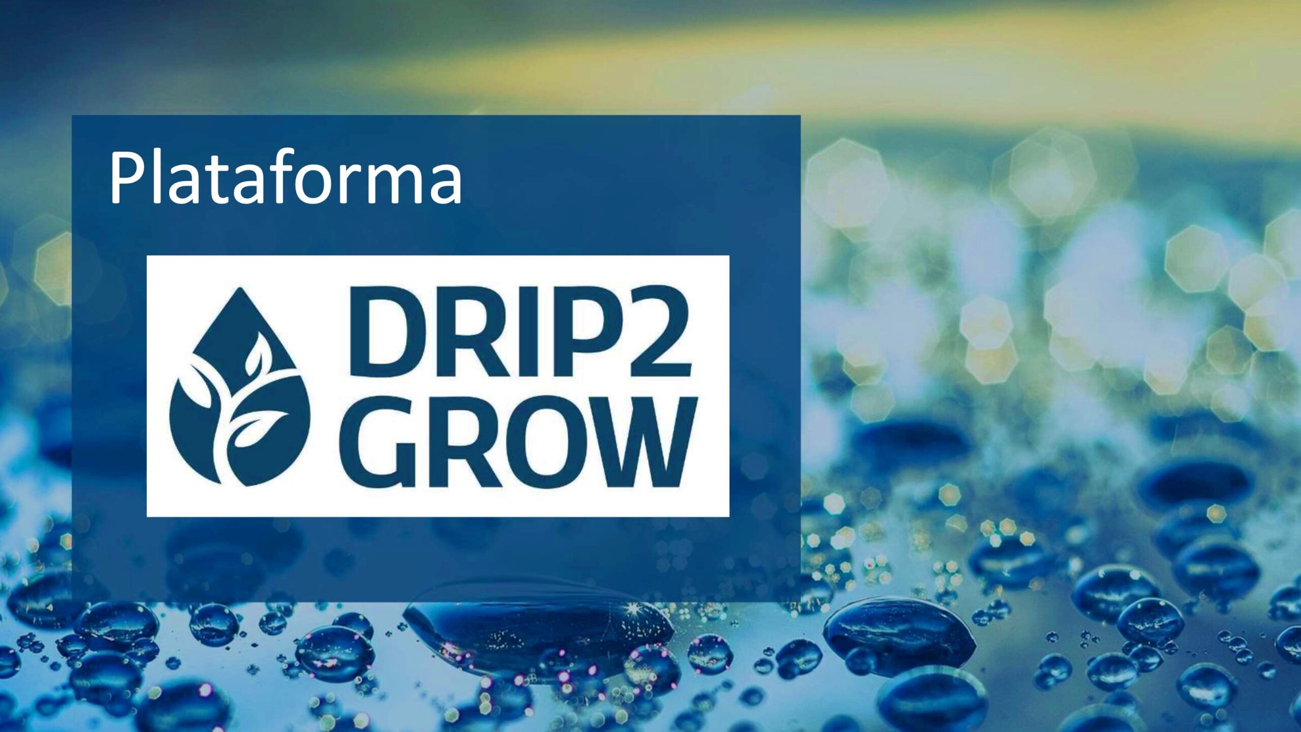 Imagen drip to grow|fgngfn|hfjk,k
